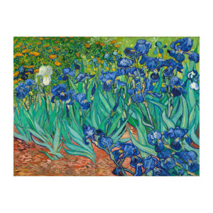 Irises  - 30X40CM
