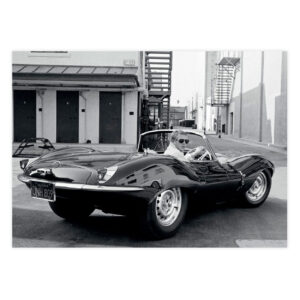 Steve Mac Queen