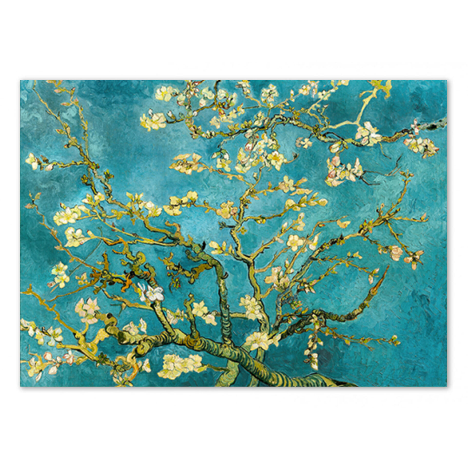 Mandorlo en fleurs - 30X40CM
